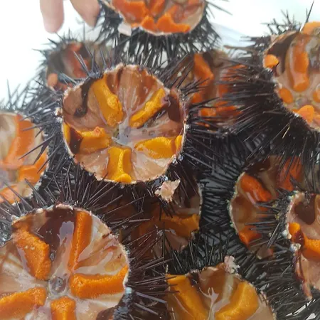 Centralissima Casa Delfino Semesterbostad