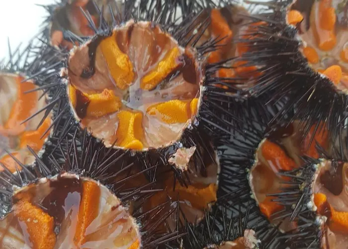 Centralissima Casa Delfino Ferienhaus